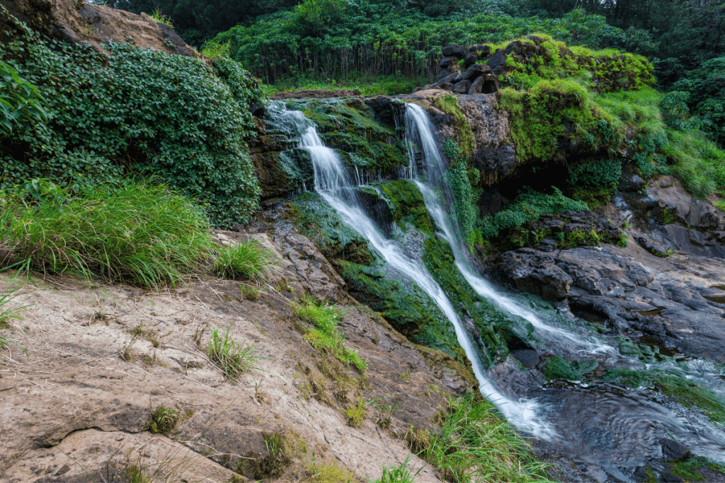 ruta charco malo