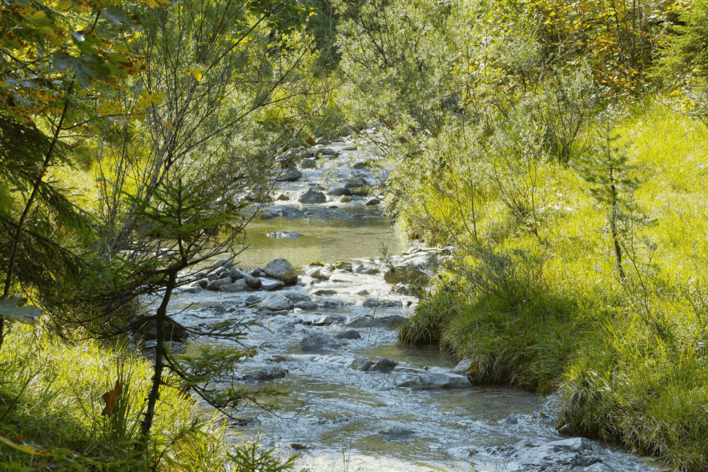 arroyo las carabañas