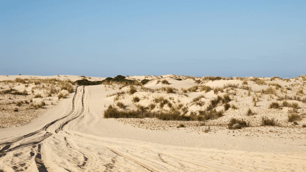 Playa de la Flecha