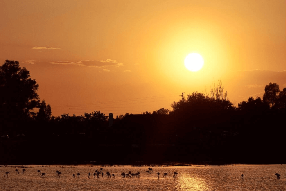 atardecer Huelva