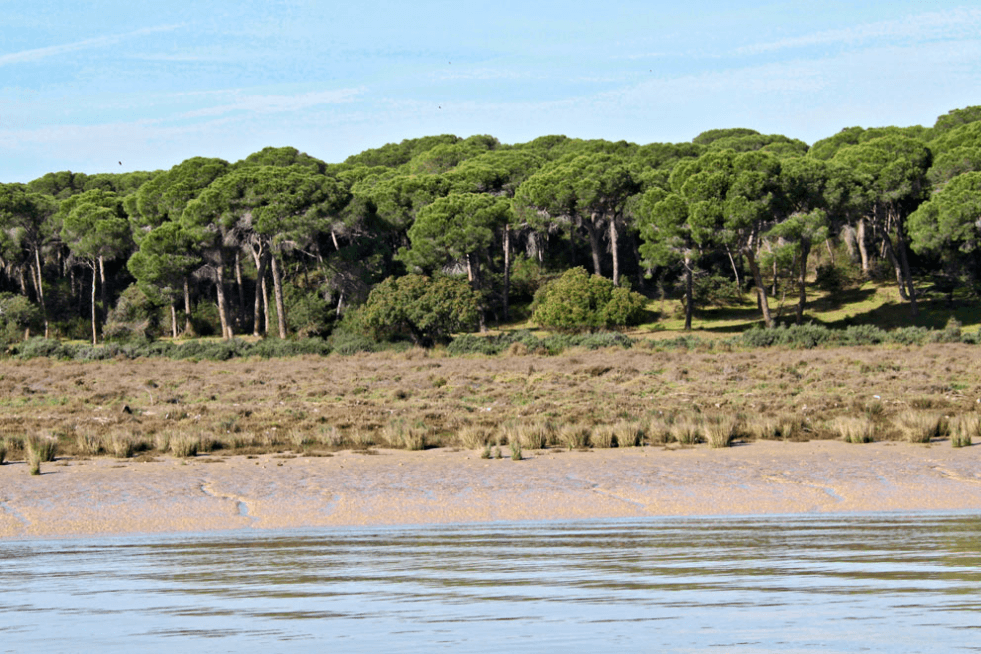 parque de Doña Ana