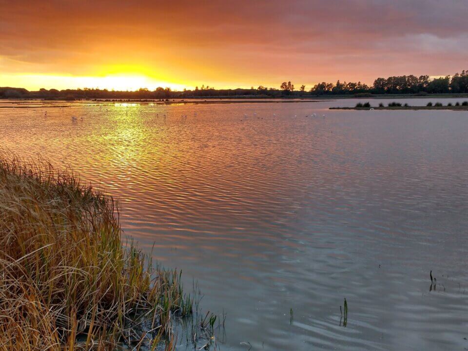 Doñana.